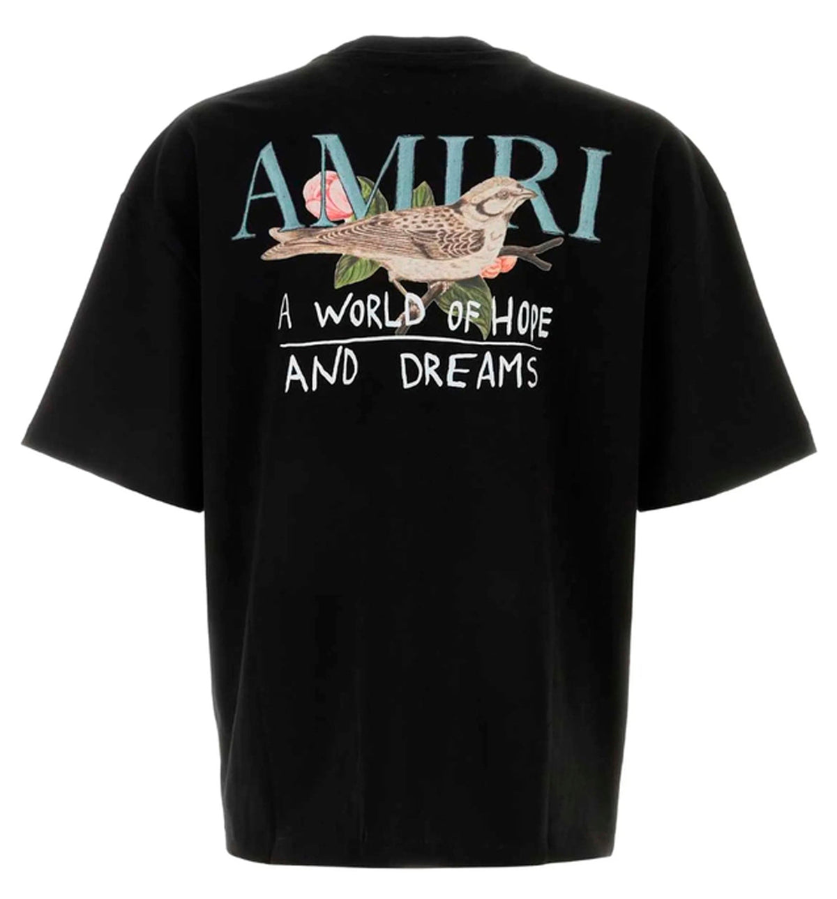 Hope and Dreams oversized Tee