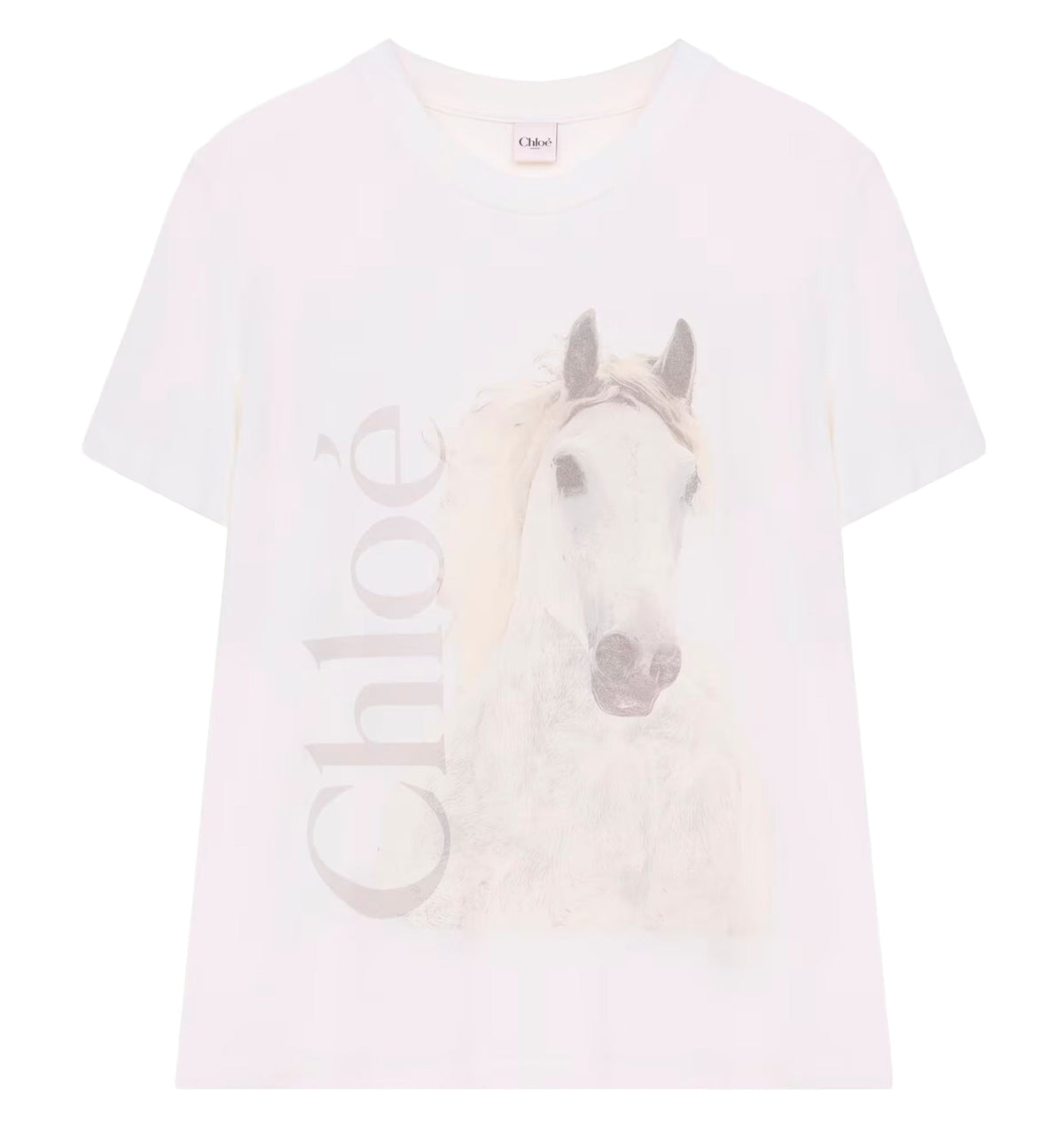 Crew-neck logo T-shirt in cotton jersey