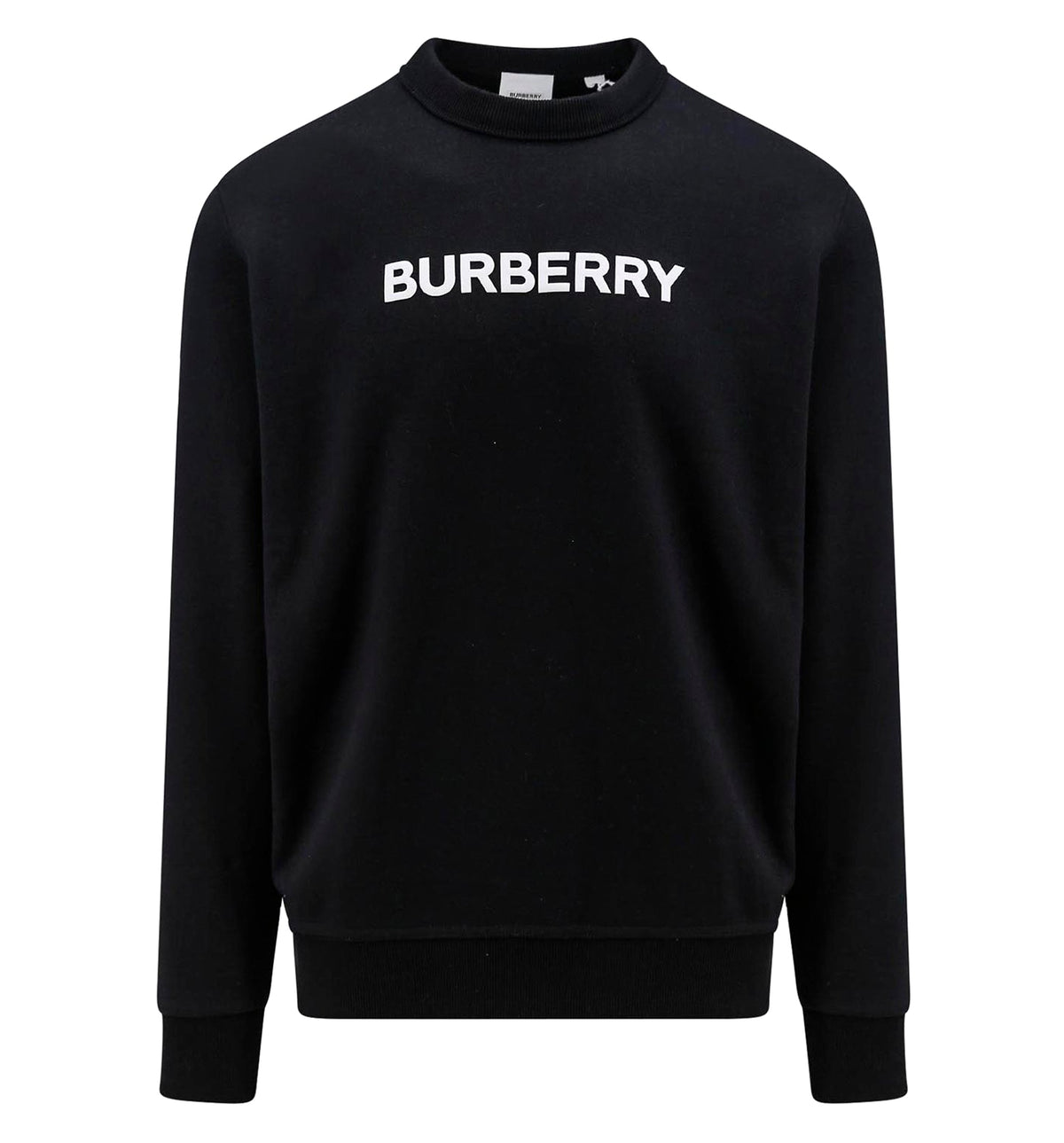 Cotton sweatshirt with frontal logo