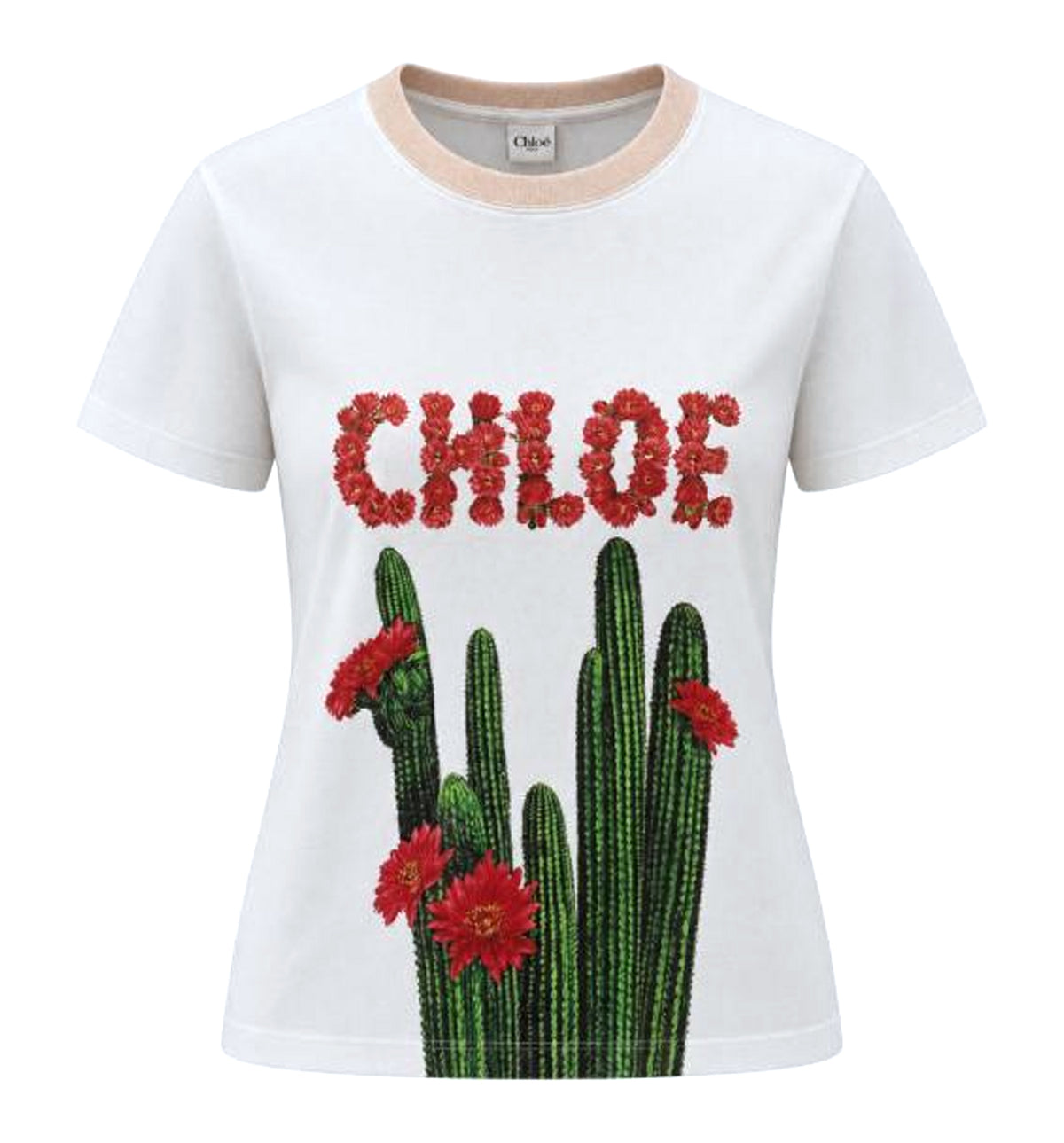 Graphic print T-shirt