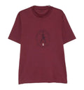 Cotton jersey crew neck T-shirt with print