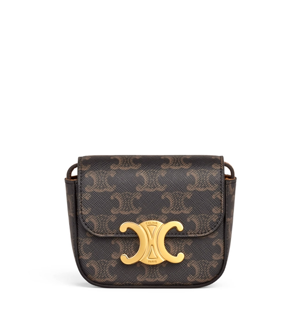 Mini Claude in Triomphe Canvas and Calfskin