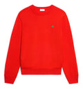 Crewneck Sweater in Fine Wool