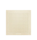 Dior Oblique Natte Shawl