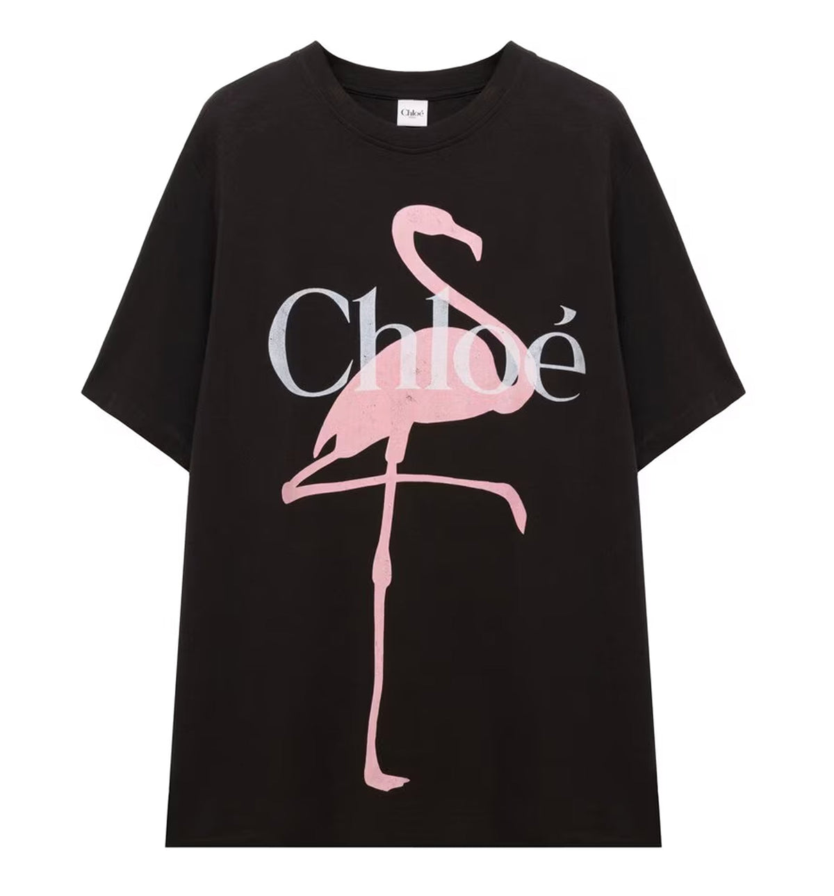 Generous Logo T-Shirt In Cotton Jersey