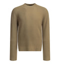 Cashmere crewneck sweater