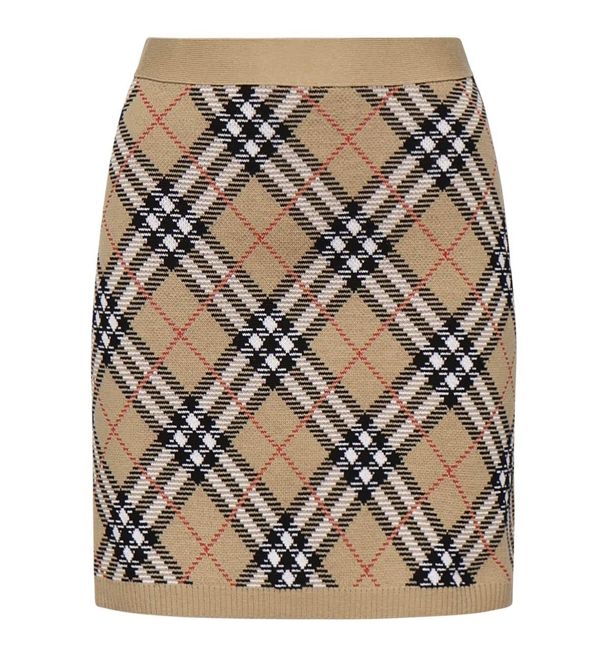 Embroidered Wool Blend Skirt