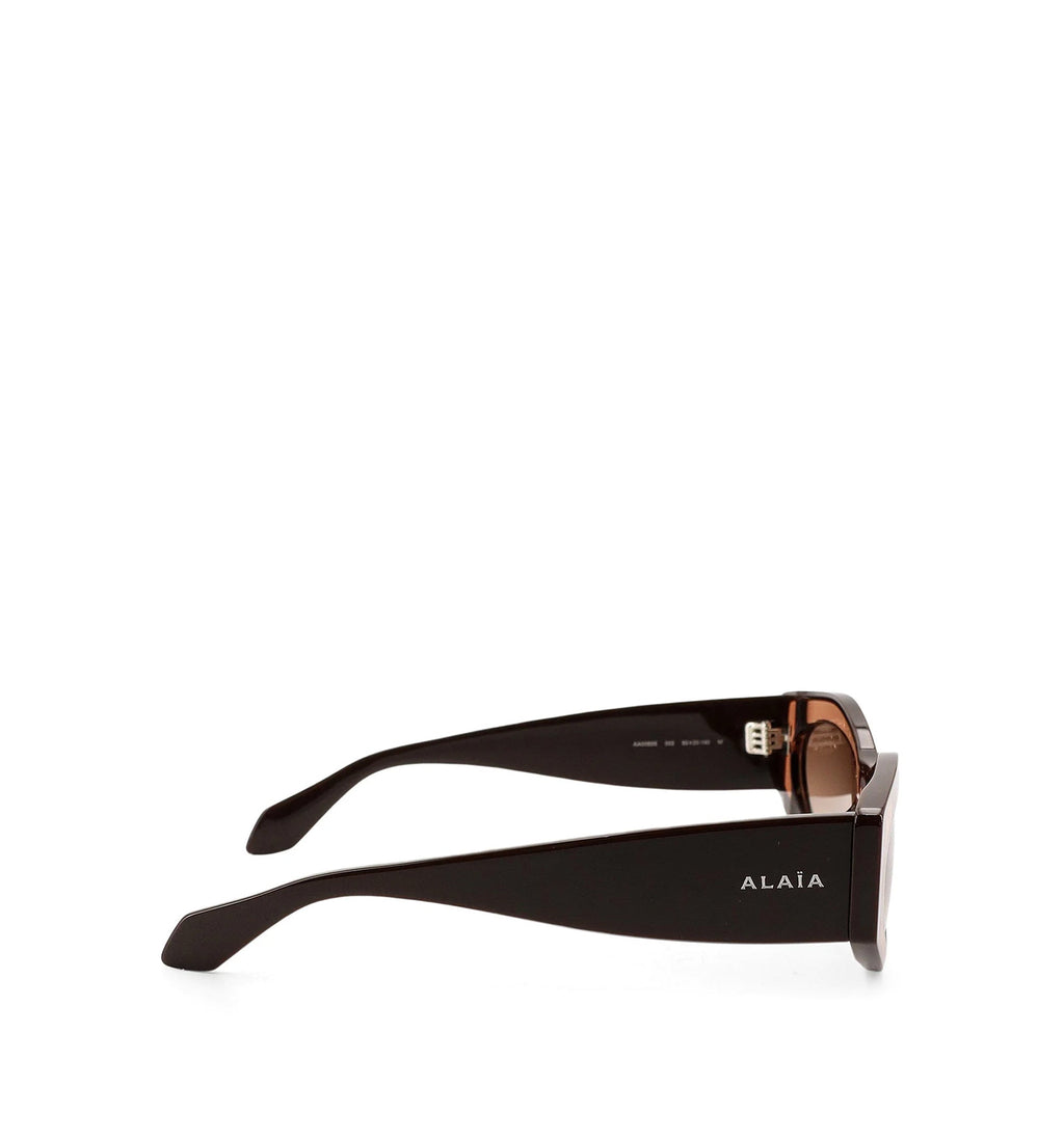 Acetate Sunglasses