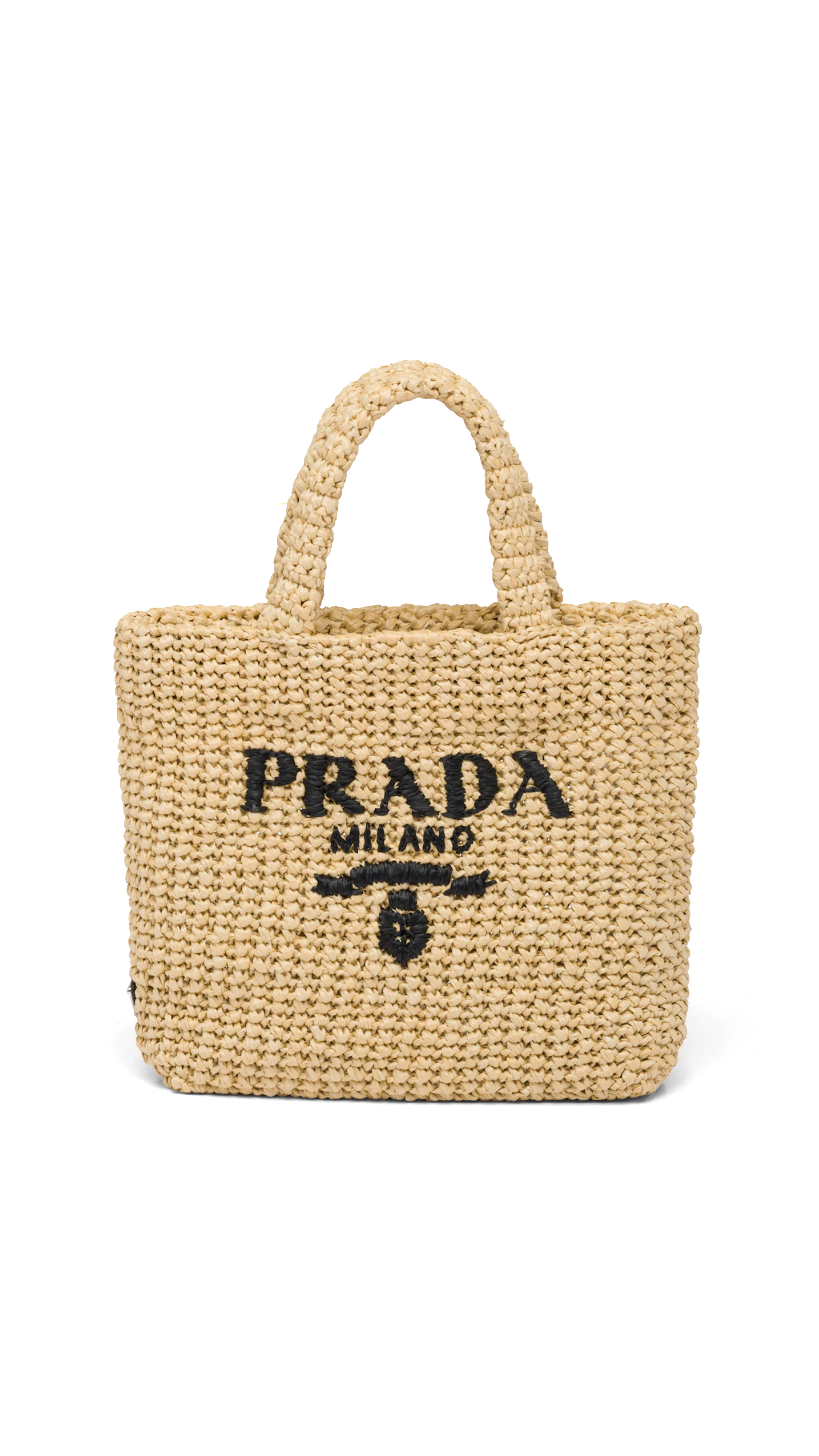 Small Raffia Tote Bag - Natural/Black