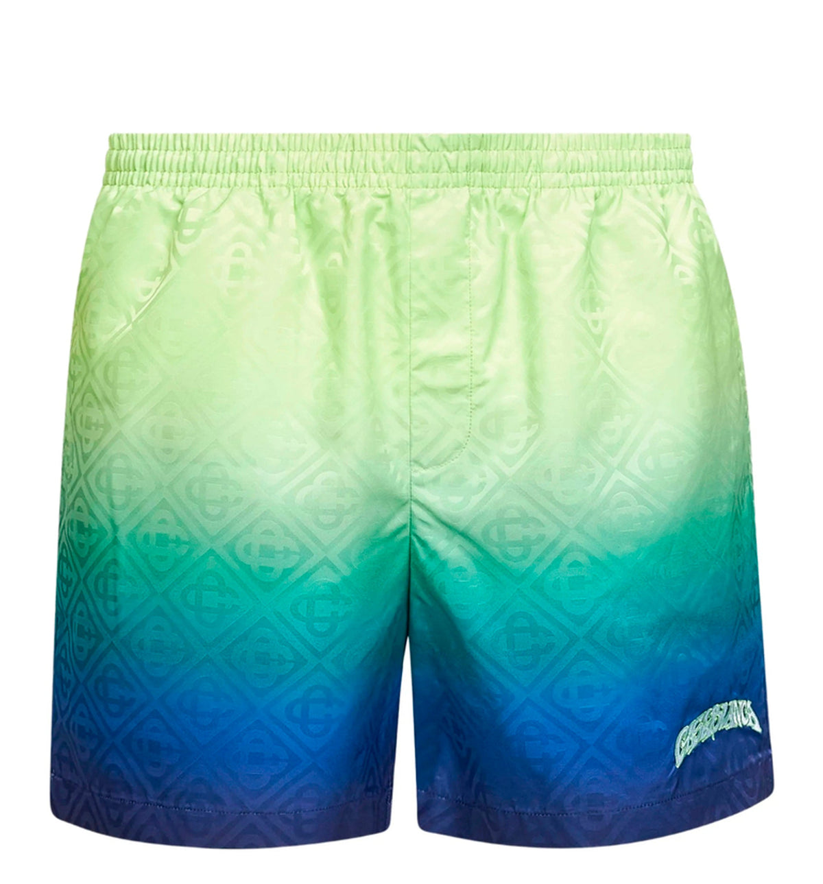 Gradient Swim Shorts