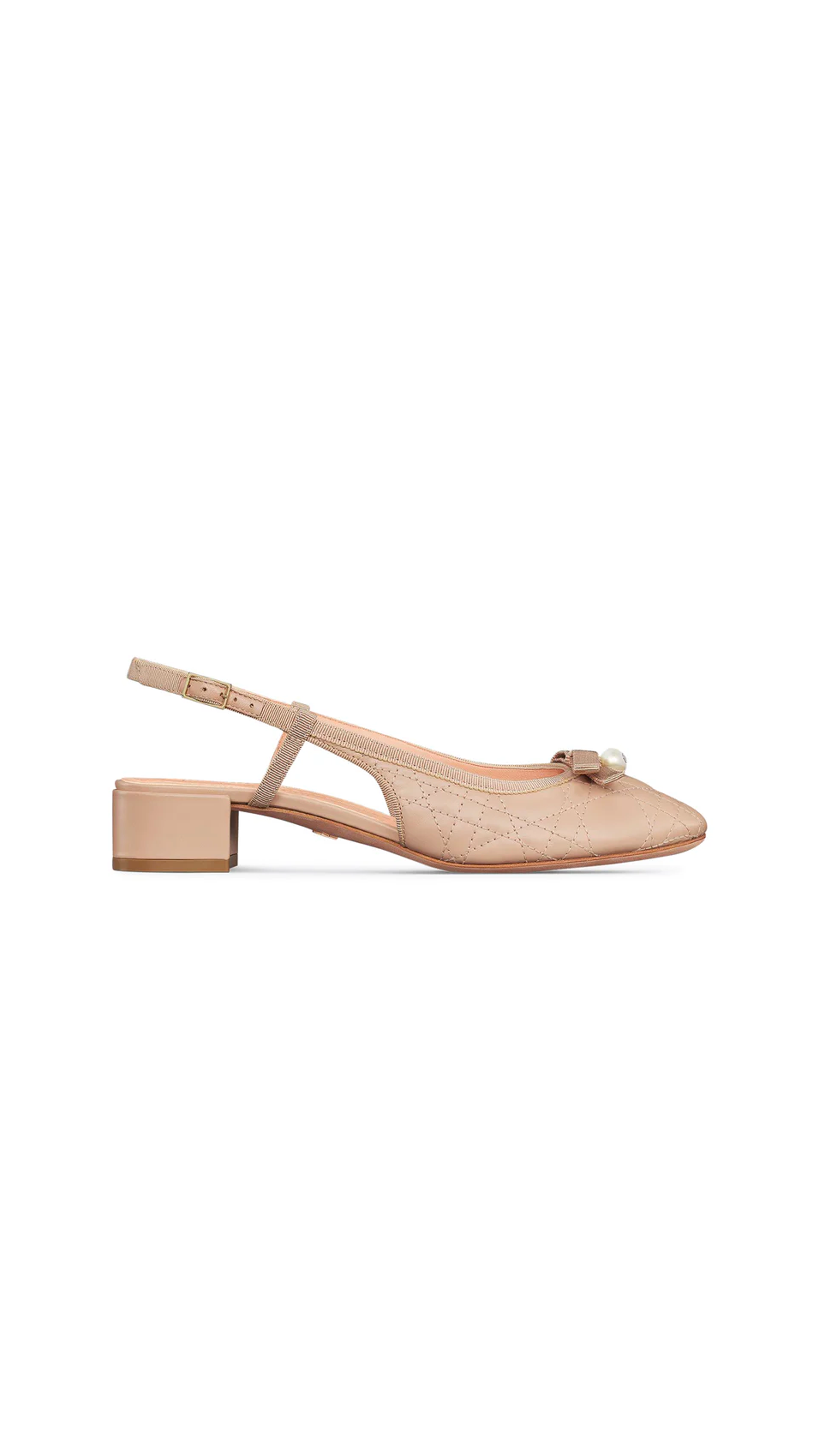 Dior Ballet Slingback Pumps - Powder Nude