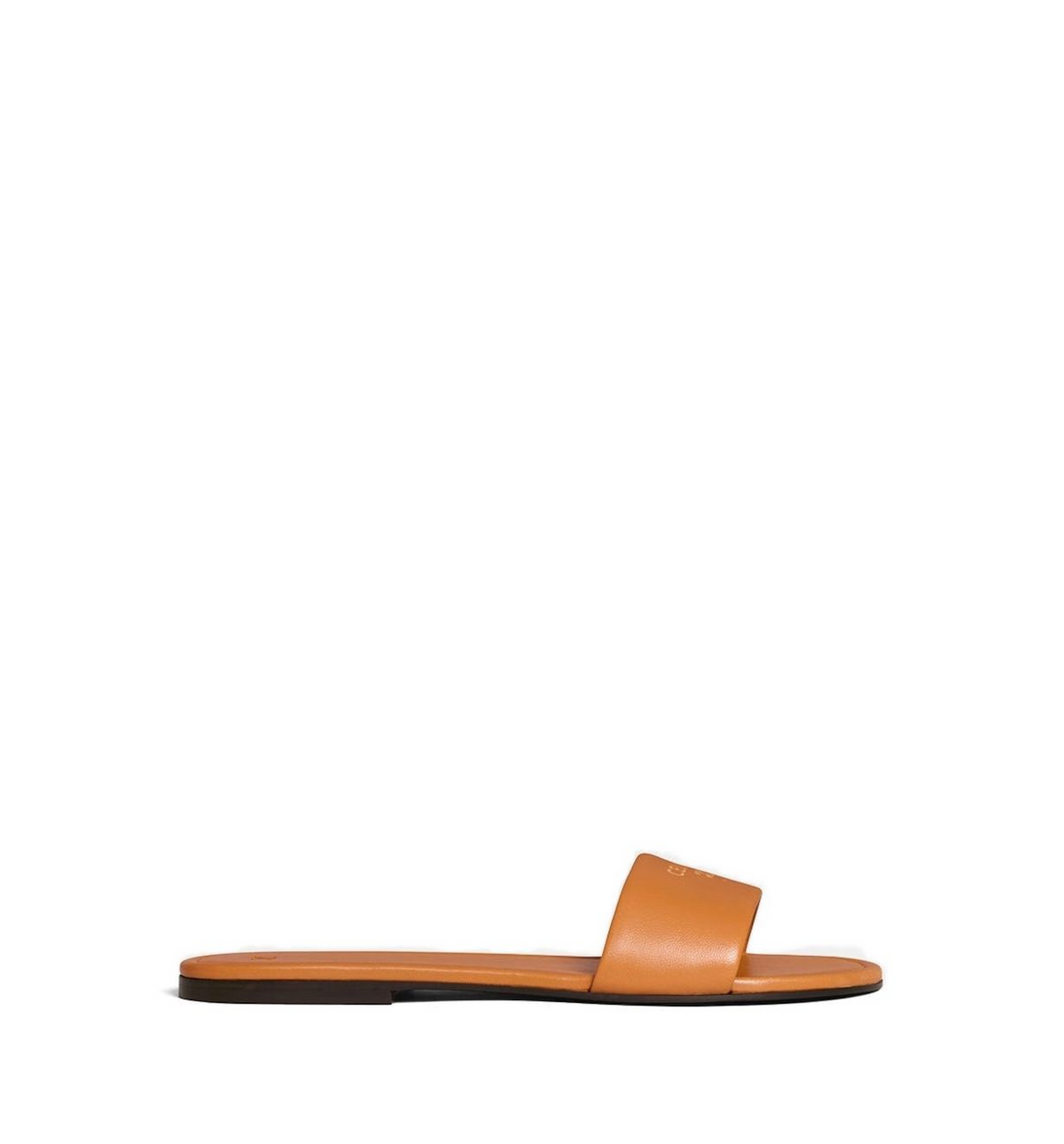 Coast Mule