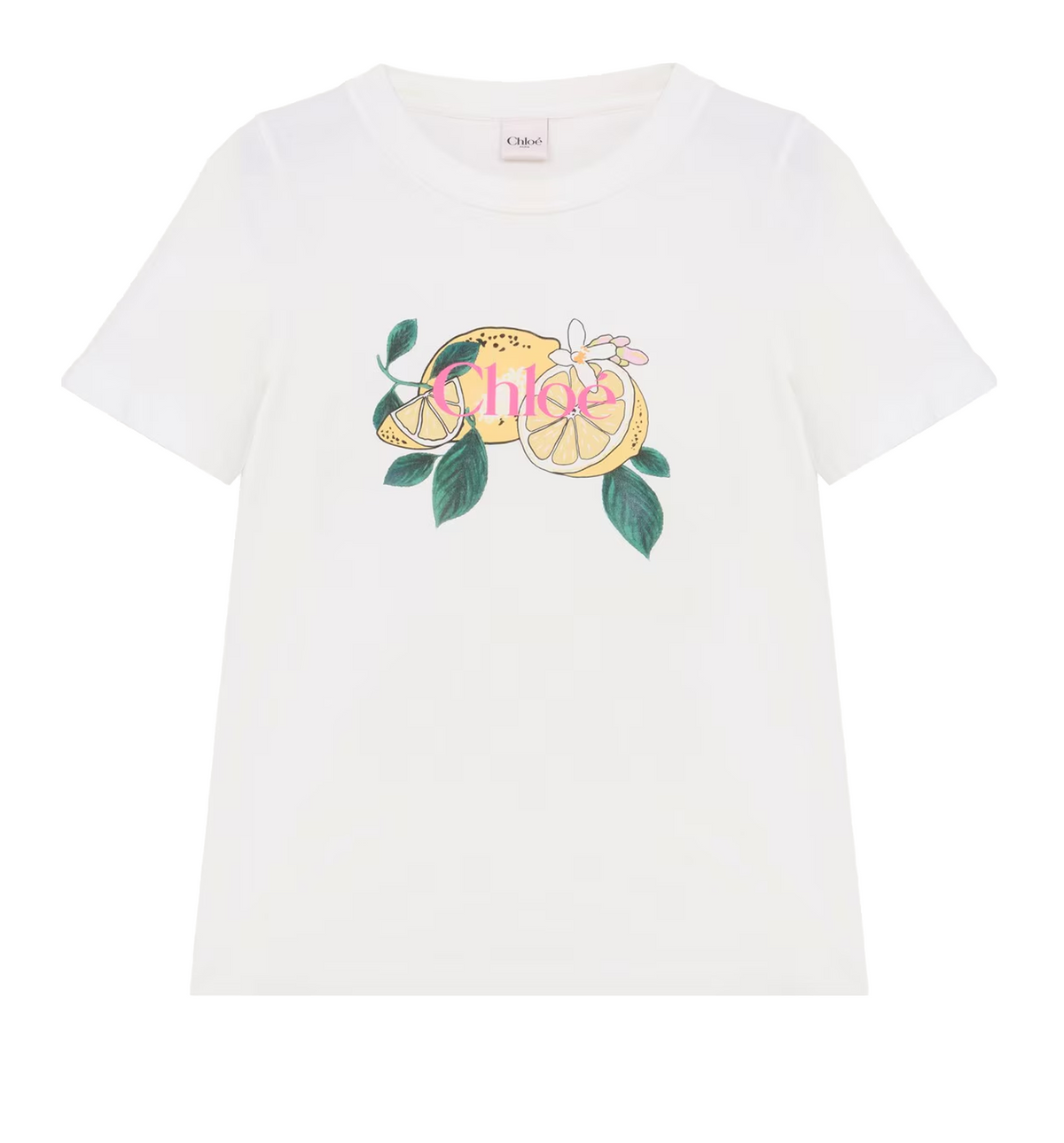 Crew-neck logo T-shirt in cotton jersey