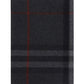 The Classic Check Cashmere Scarf - Charcoal