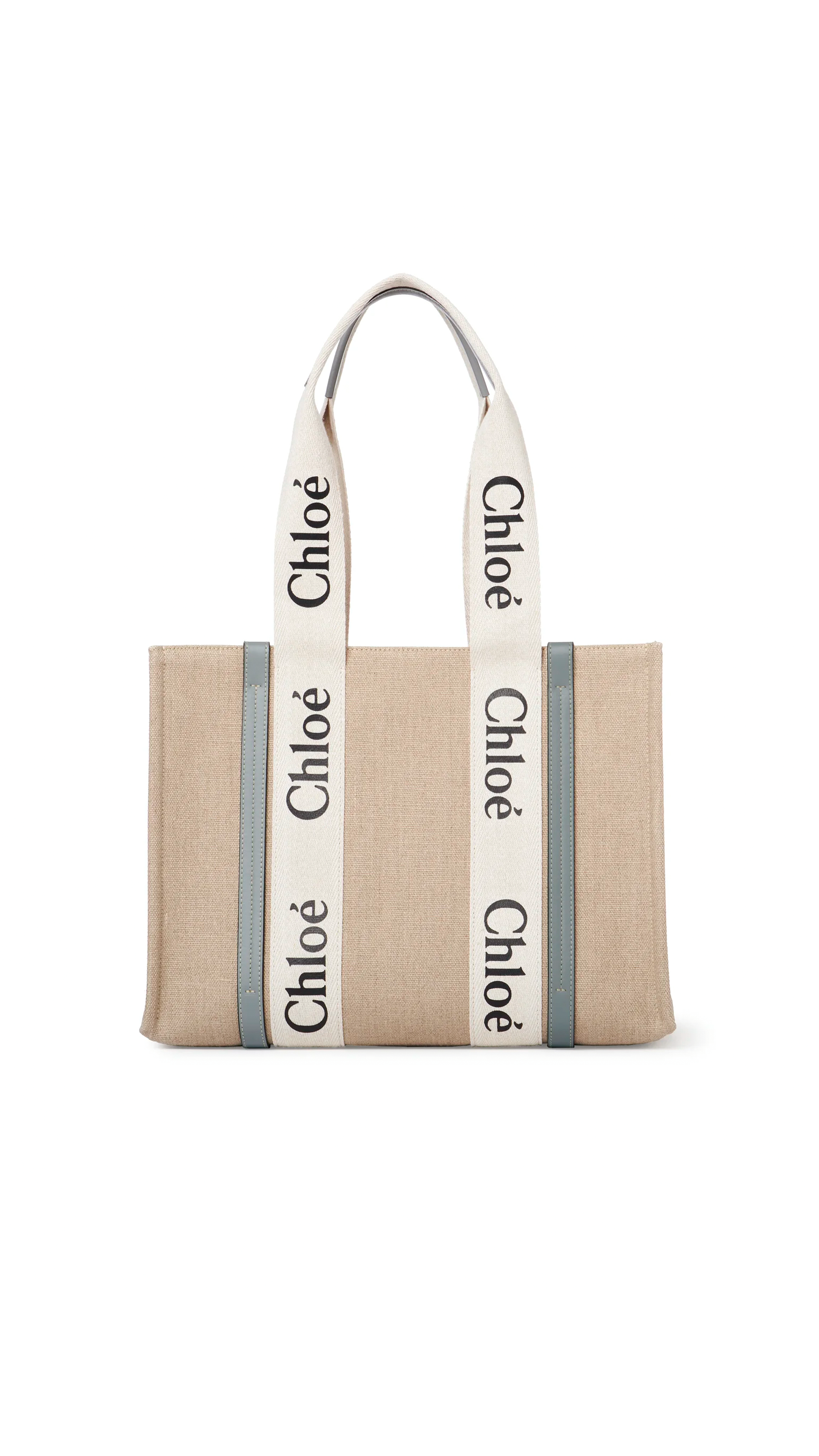 Medium Woody Tote Bag - Beige / Blue